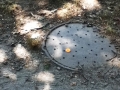 Random Drop